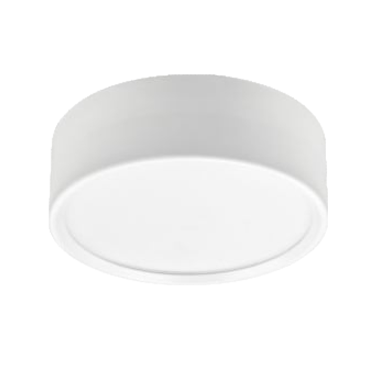 Surface mounted downlight
